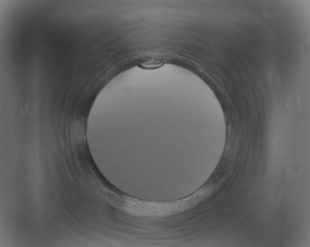 X0000081370048200702082357