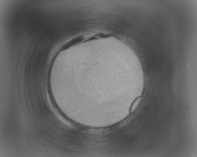 X0000081370049200702082356