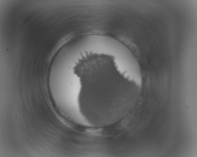 X0000081370051200702082356