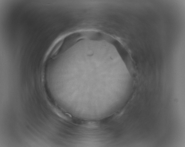 X0000081370056200702082357