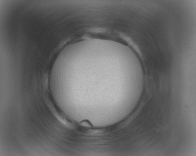 X0000081370057200702082357