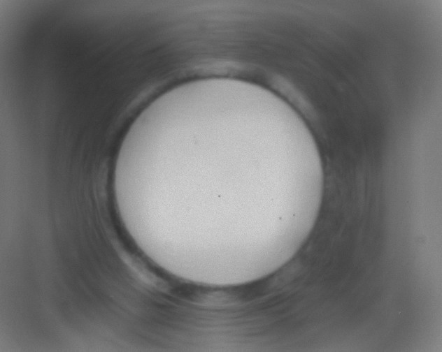 X0000081370058200702082357