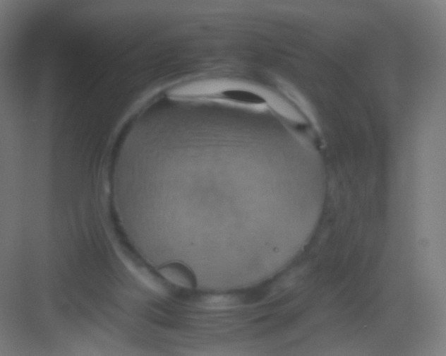 X0000081370059200702082357