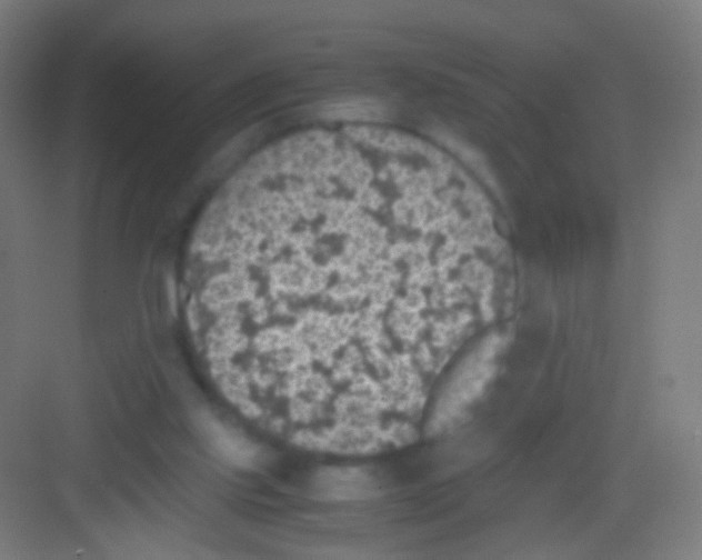 X0000081370061200702082357