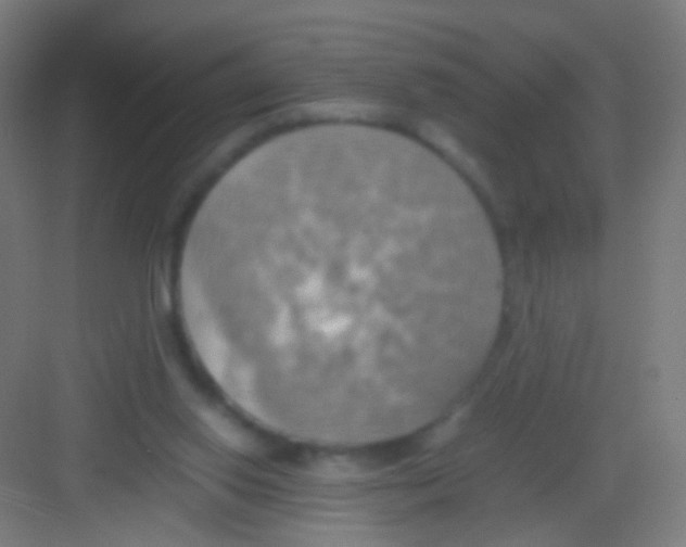 X0000081370062200702082357