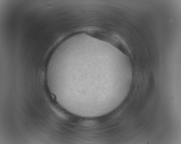 X0000081370063200702082357