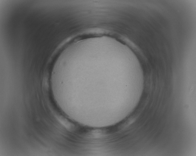 X0000081370064200702082357