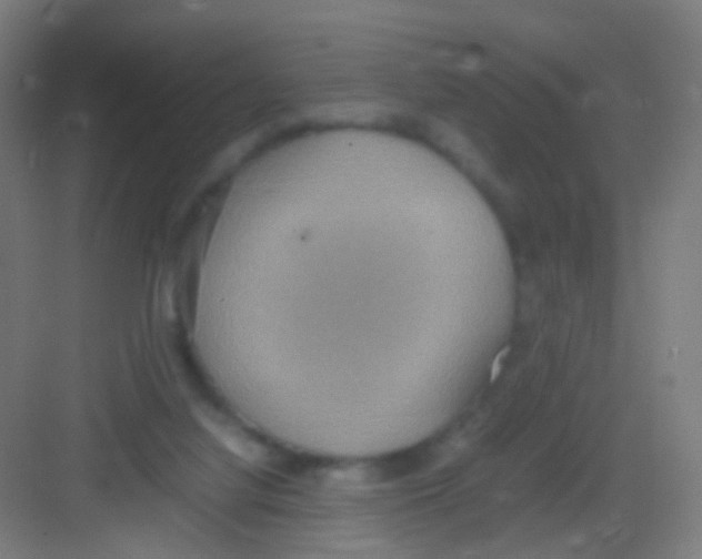 X0000081370068200702082357