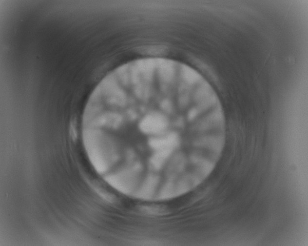 X0000081370069200702082357