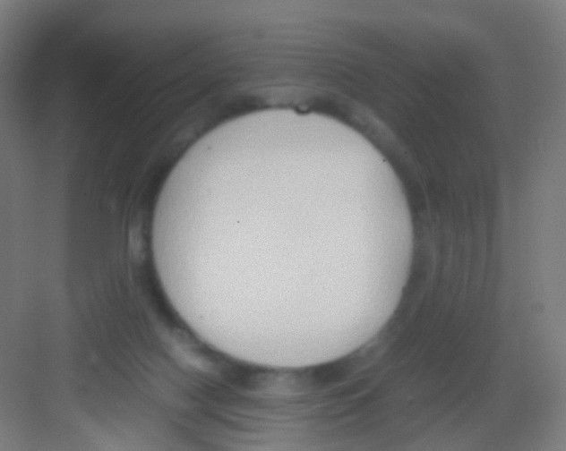 X0000081370074200702082357