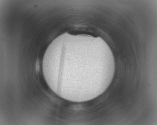 X0000081370075200702082357