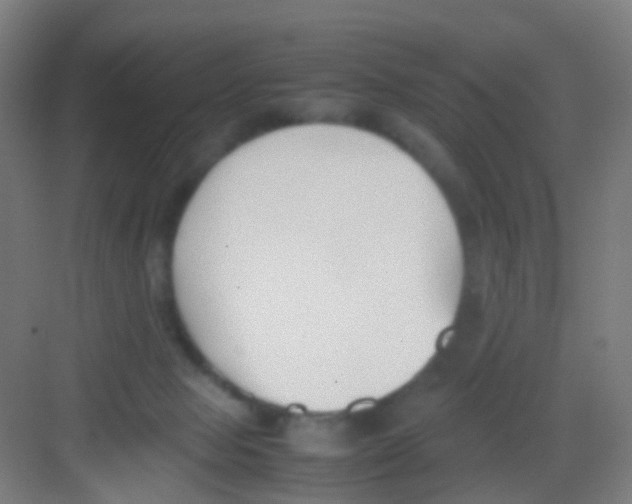 X0000081370077200702082357