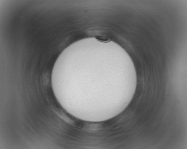 X0000081370081200702082357