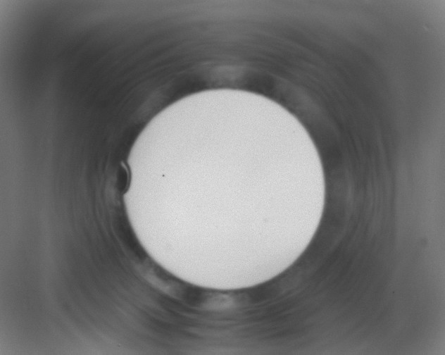 X0000081370083200702082357