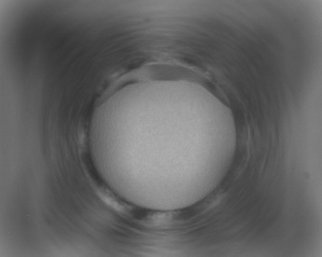 X0000081370084200702082357