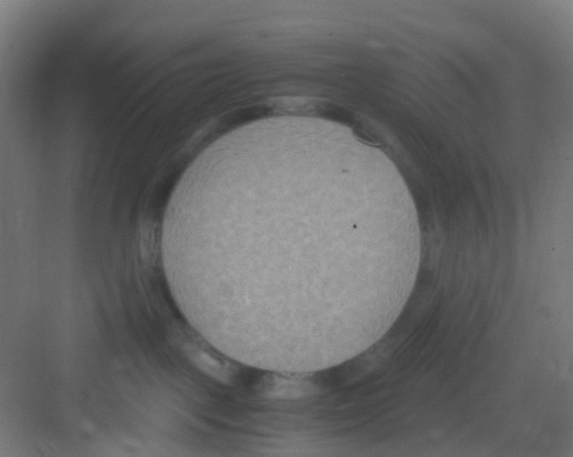 X0000081370093200702082357