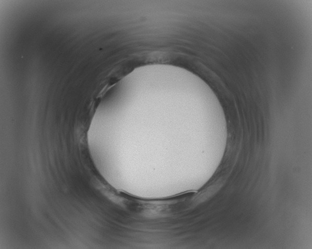 X0000081370096200702082357