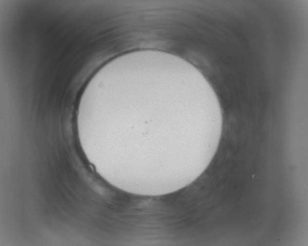 X0000081370098200702082356