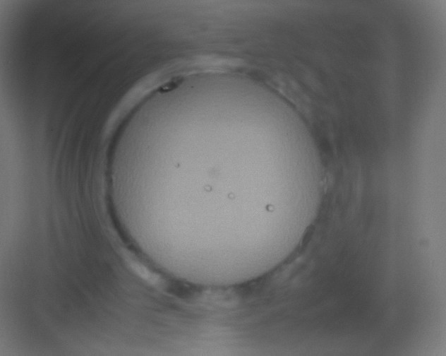 X0000081370101200702082356