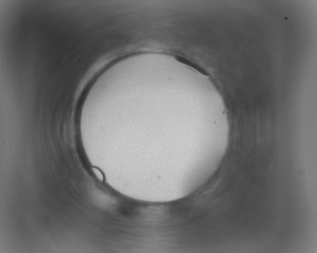 X0000081370102200702082356