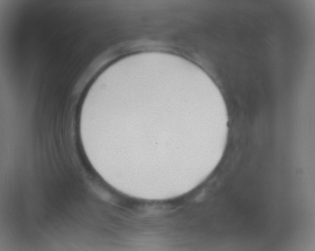 X0000081370103200702082356