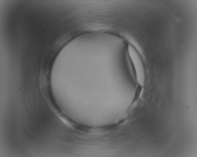 X0000081370105200702082356