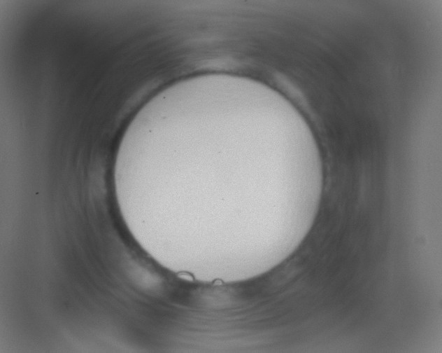 X0000081370106200702082356