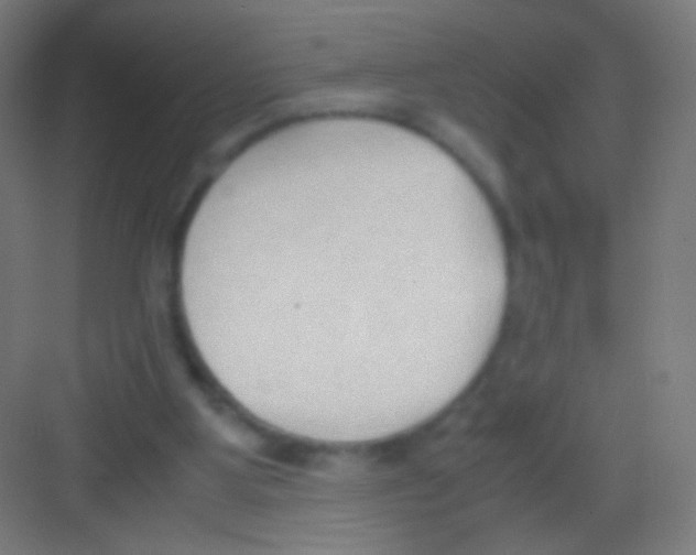 X0000081370107200702082356