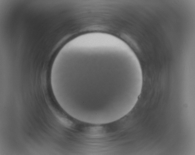 X0000081370108200702082356