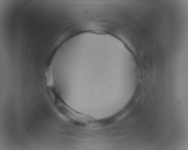 X0000081370109200702082356