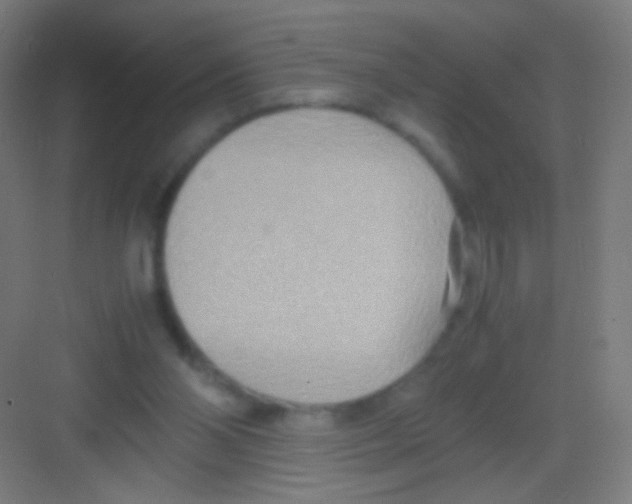 X0000081370110200702082356