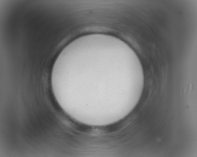 X0000081370111200702082356