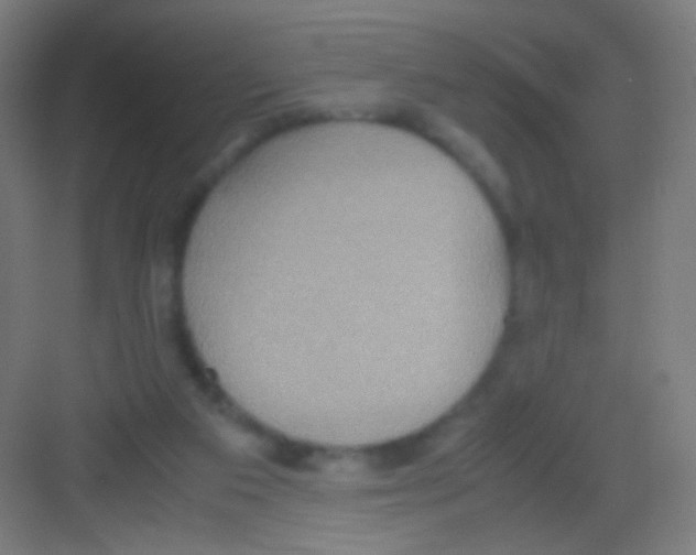 X0000081370113200702082356