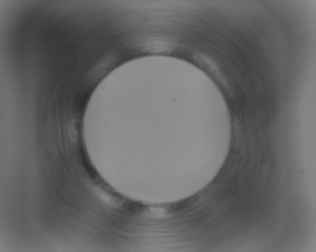 X0000081370114200702082356