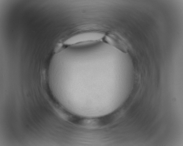 X0000081370117200702082356