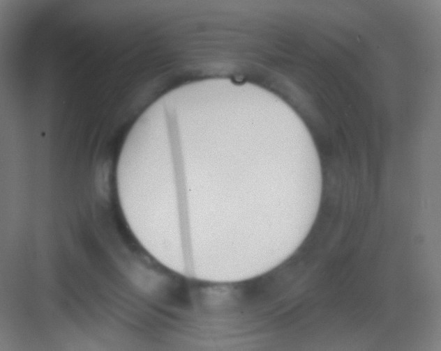 X0000081370118200702082356