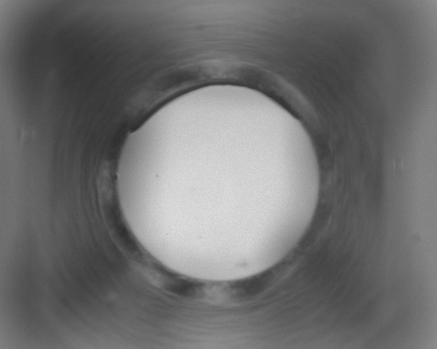 X0000081370121200702082356