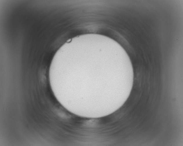 X0000081370122200702082356