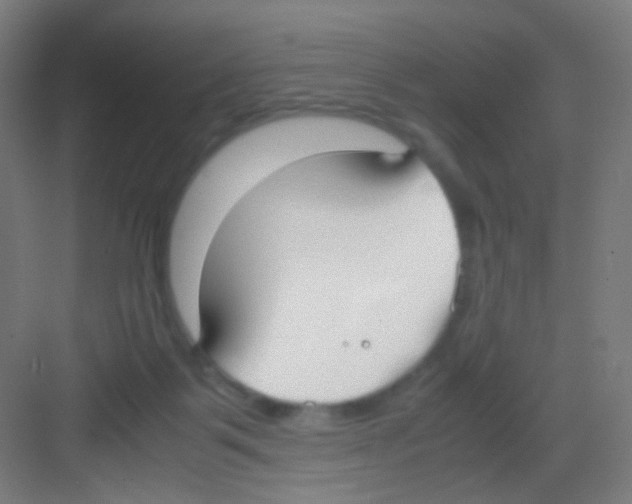 X0000081370123200702082356