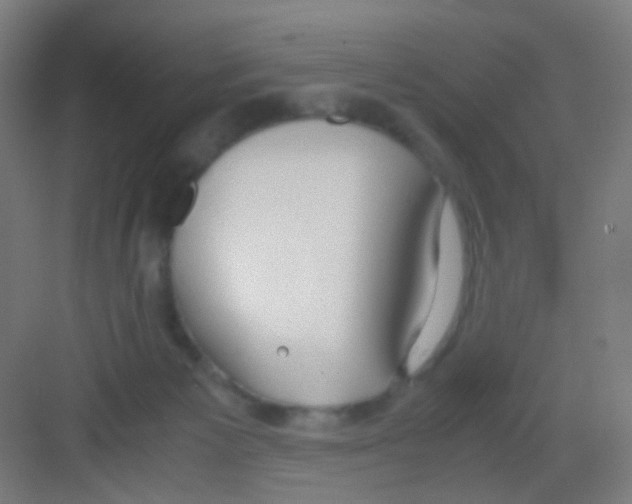 X0000081370125200702082356