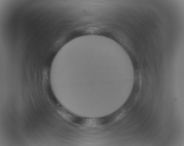 X0000081370127200702082356