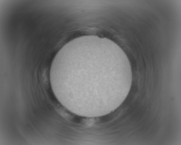 X0000081370131200702082356