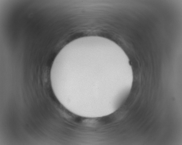 X0000081370133200702082356