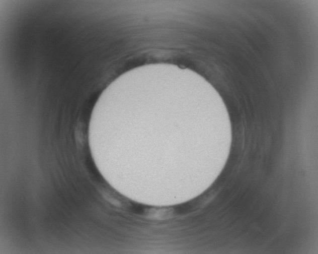 X0000081370135200702082356