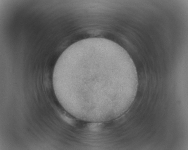 X0000081370136200702082356