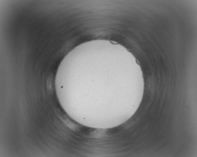 X0000081370138200702082356