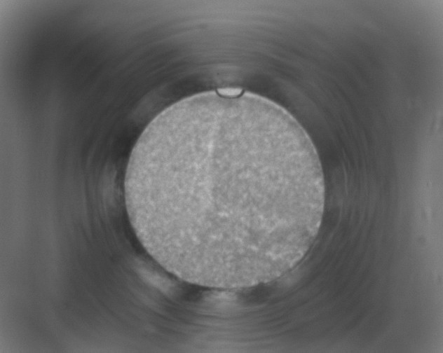 X0000081370140200702082356