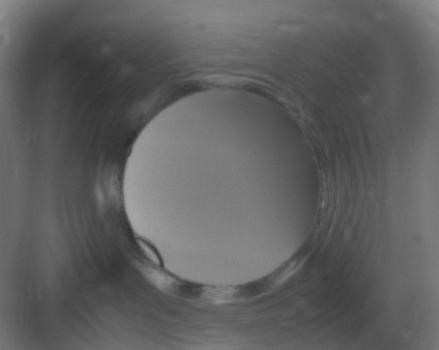 X0000081370143200702082356