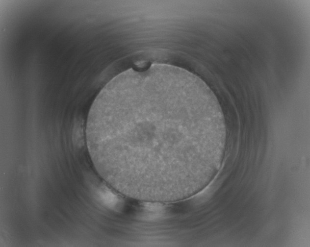 X0000081370144200702082356