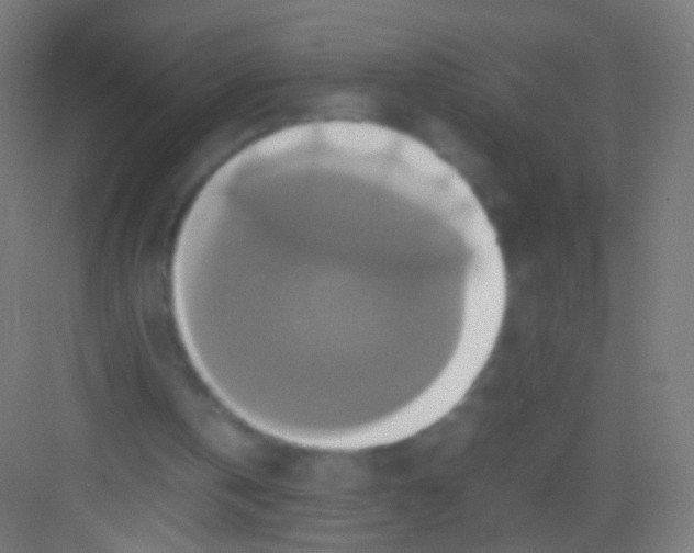 X0000081370146200702082355